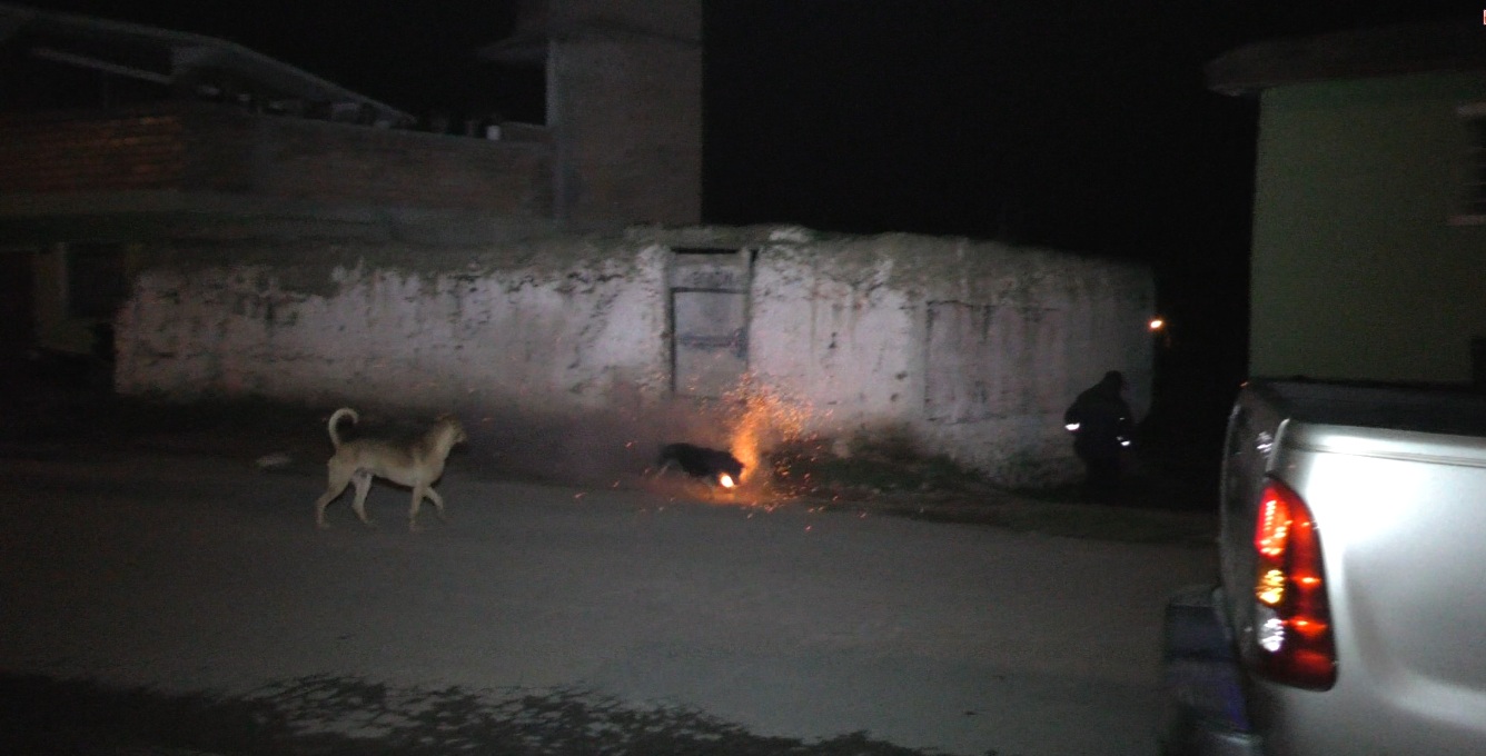 El Perro SUICIDA Gracias a Dios Sigue vivo  CORREO MURUHUAY  TARMA  2015